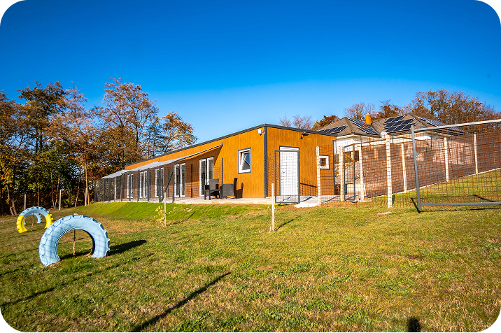 Animal Resort dog playground