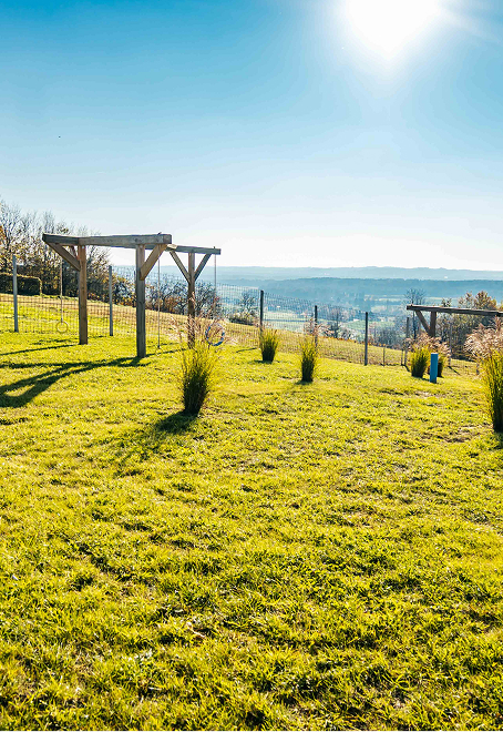 Animal Resort dog playground