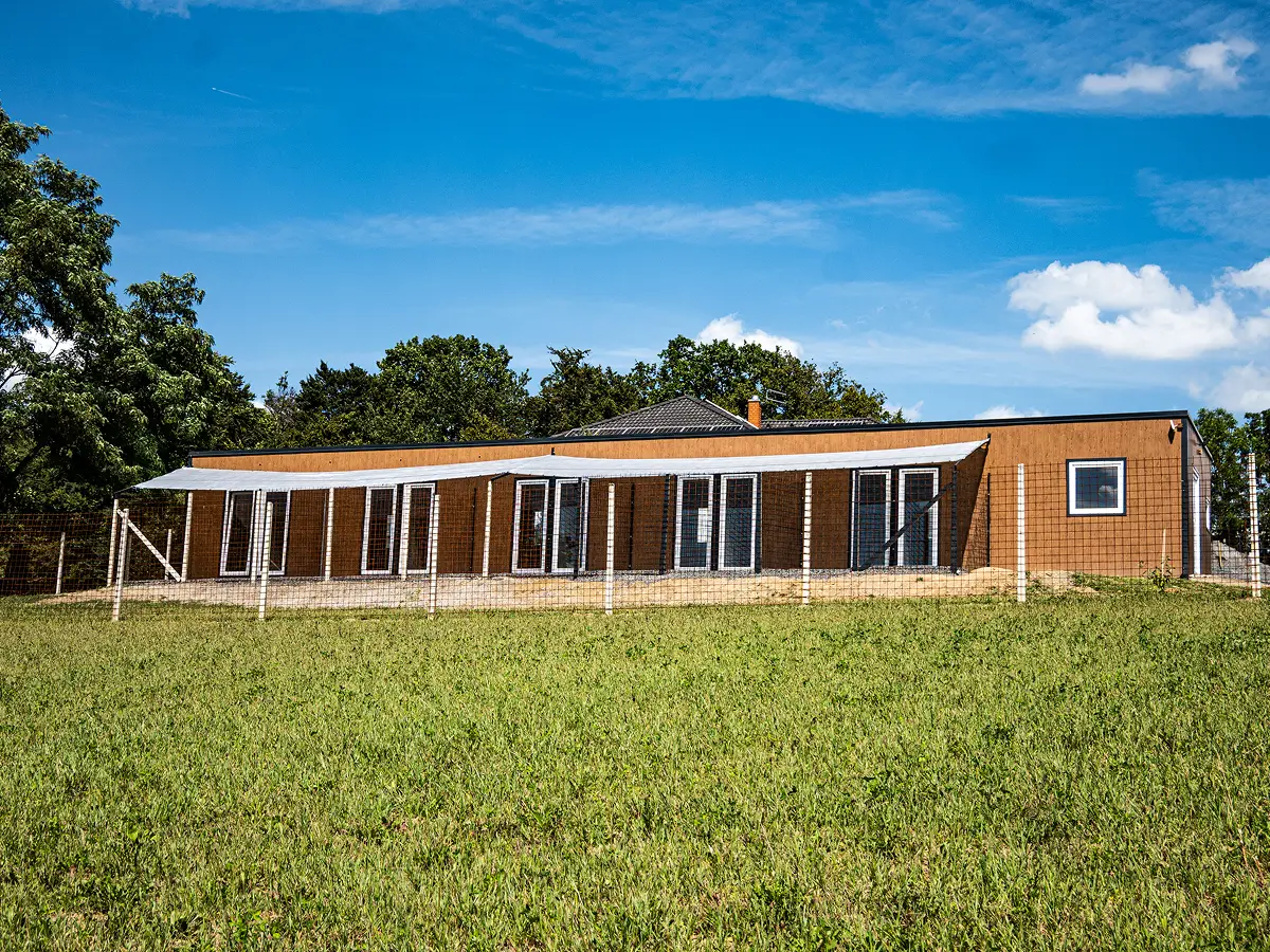 outside animal resort